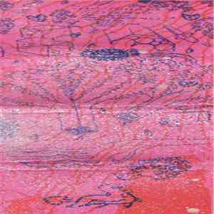 Clay's Festering Lungs - Silver Skull flac album