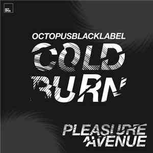 Cold Burn - Pleasure Avenue flac album
