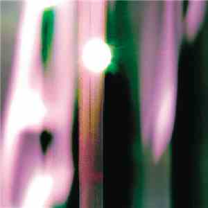Craig Ward & Radboud Mens - The Drive To Taxonomy flac album