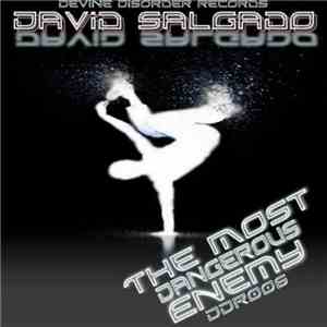 David Salgado - The Most Dangerous Enemy flac album