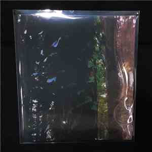 Downscope - /ˈdwindl/ in time flac album