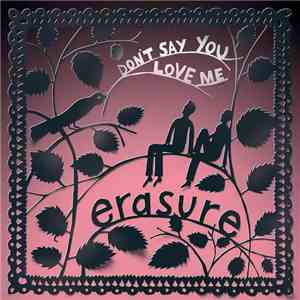 Erasure - Don't Say You Love Me (Jeremy Wheatley Single Mix) - Single flac album