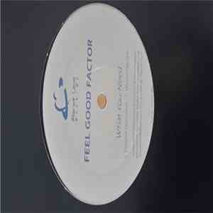 Feel Good Factor  - What You Need flac album