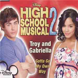High Scool Musical 2 - Gotta Go My Own Way flac album
