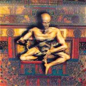Magical Power Mako - Next Millennium Vibrations flac album