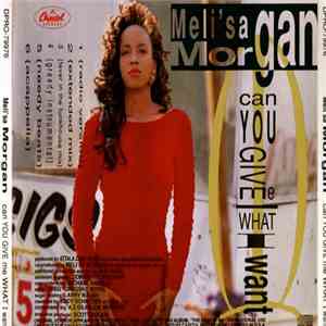Meli'sa Morgan - Can You Give Me What I Want flac album