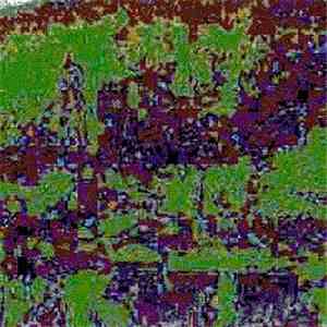 mhz_ & VOICE_02.726 - 3 flac album