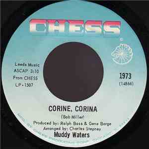 Muddy Waters - Corine, Corina / Hoochie Coochie Man flac album