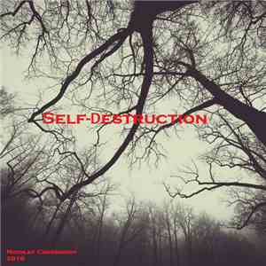 Nikolay Chesnokov - Self-Destruction flac album
