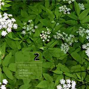 Olaf Rupp, Tony Buck, Joe Williamson - Weird Weapons 2 flac album