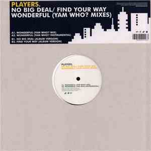 Players  - No Big Deal / Find Your Way / Wonderful flac album