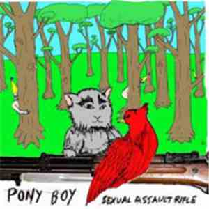 Pony Boy  - Sexual Assault Rifle flac album