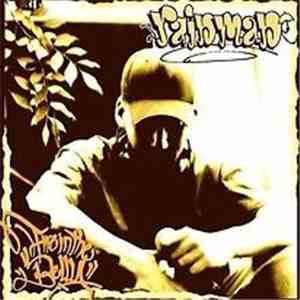 Rainman  - Fire In The Belly flac album