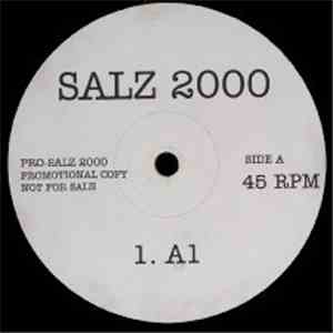 Salz - Salz 2000 flac album