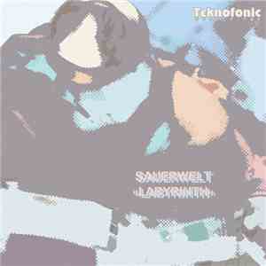 Sauerwelt - Labyrinth flac album