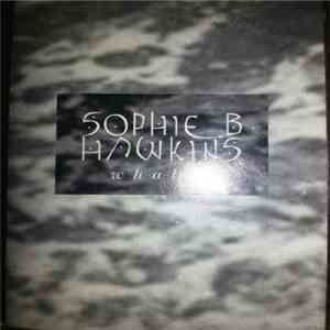 Sophie B. Hawkins - Whaler flac album
