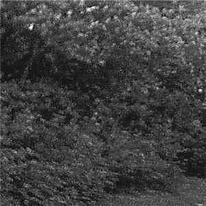 Taklamakan  / Torba - Subterranean Miasma / Blue Sunset At The Gates Of Feldburg flac album