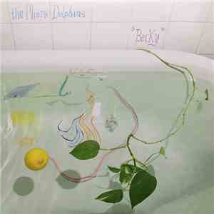 The Miami Dolphins - Becky flac album