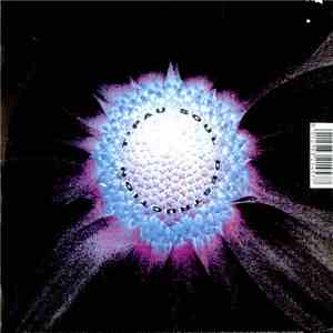 T'Pau - Soul Destruction flac album