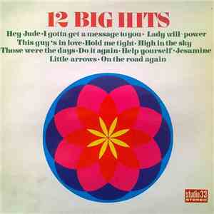 Unknown Artist - 12 Big Hits flac album