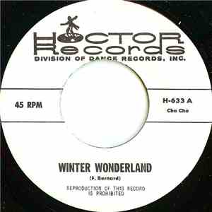 Unknown Artist - Winter Wonderland flac album