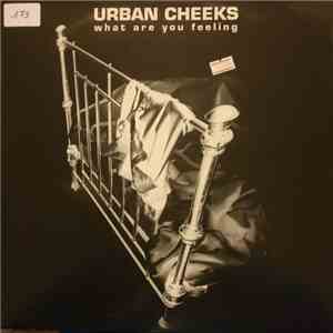 Urban Cheeks - What Are You Feeling flac album