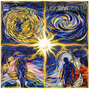 Various - LiquiDNAtion LP. Part 2 flac album