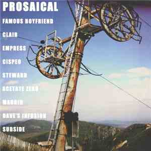 Various - Prosaical flac album