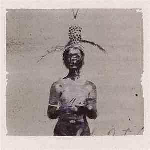 William - Surface The Vessel flac album