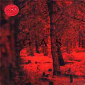 Wolfgang Voigt - Gas flac album