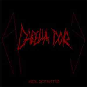 A Cappellacore - Vocal Destruction flac album