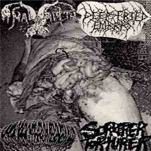 Anal Birth / Deep Fried Embryo / Sorcerer Torturer / Hypoprothrombinemia - Slaughtering With Extreme Disgust flac album