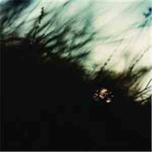Anne Chris Bakker - Tussenlicht flac album