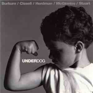 Audio Adrenaline - Underdog flac album