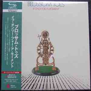 Blossom Toes - If Only For A Moment flac album