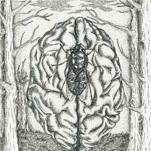 Botfly  - Parasitic Oscillation flac album