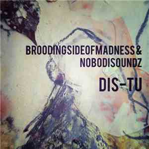 BroodingSideOfMadness, nobodisoundz - Dis​-​Tu flac album