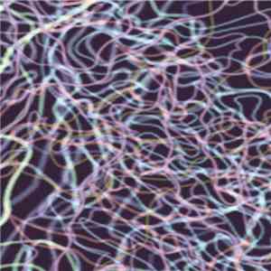 Cloakfern - Polyptychs flac album