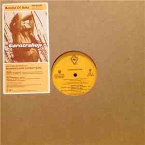 Cornershop - Brimful Of Asha flac album