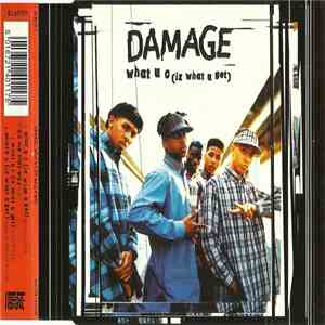 Damage - What U C (Iz What U Get) flac album