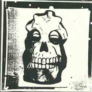 Decaer Pinga - The Amplified Brick flac album