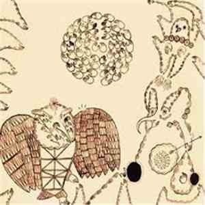 Devendra Banhart - Rejoicing In The Hands flac album