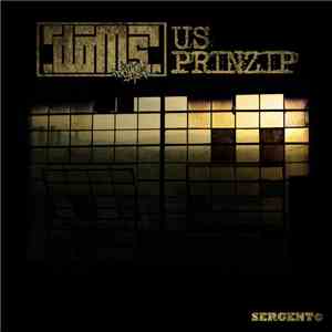 Deviants Of Modern Society - US Prinzip flac album