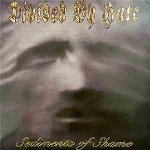 Divided By Hate - Sediments Of Shame flac album