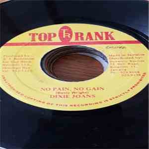 Dixie Joans - No Pain, No Gain flac album