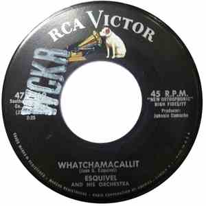 Esquivel And His Orchestra - Whatchamacallit / I Feel Merely Marvelous flac album