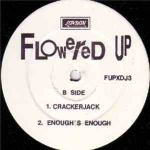 Flowered Up - Weekender flac album