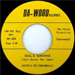 Harvey & The Phenomenals - Soul & Sunshine / What Can I Do flac album
