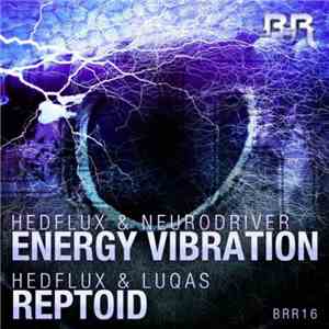 Hedflux / Neurodriver / LuQas - Energy Vibration / Reptoid flac album