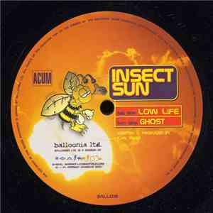 Insect Sun - Ghost / Low Life flac album